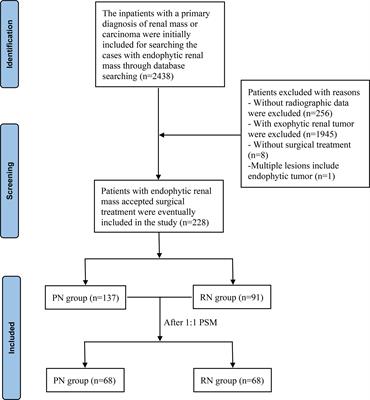 Partial Nephrectomy Versus Radical Nephrectomy for Endophytic Renal Tumors: Comparison of Operative, Functional, and Oncological Outcomes by Propensity Score Matching Analysis